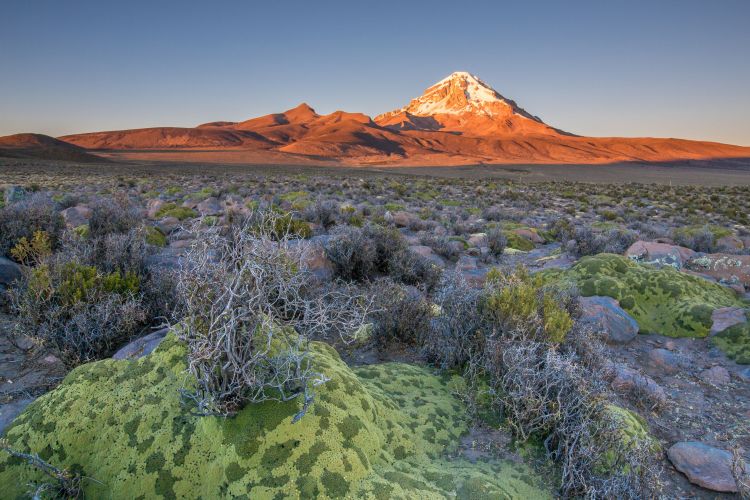 Bolivia - Altiplano
